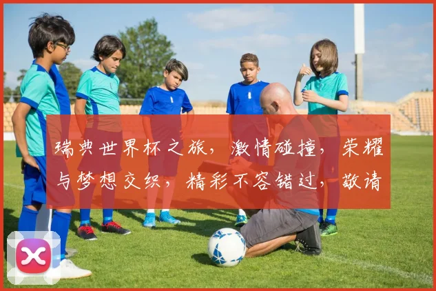 瑞典世界杯之旅，激情碰撞，荣耀与梦想交织，精彩不容错过，敬请期待