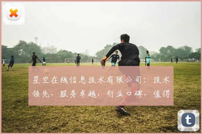 星空在线信息技术有限公司：技术领先，服务卓越，行业口碑，值得信赖，三重优势，引领未来。